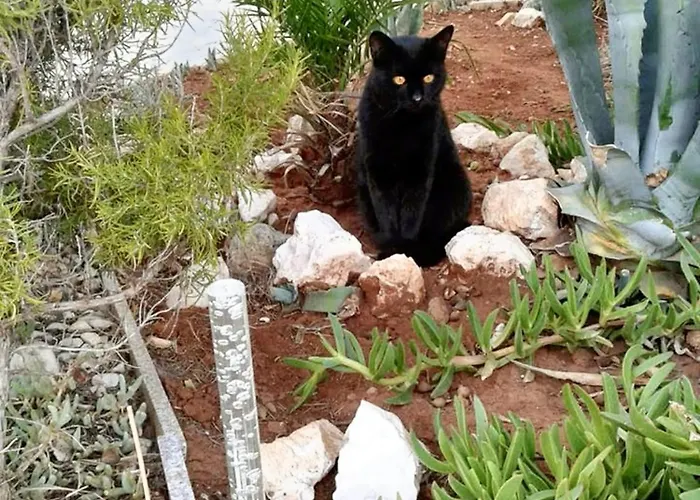 Appartement Comfortable In Vir, Sea And Mountain View, 35m²